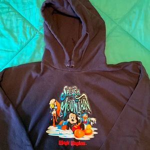 DISNET WORLD SPLASH MOUNTAIN HOODIE, EXCELLENT CONFITION